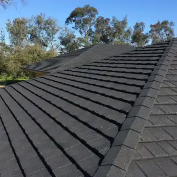 Roof Cleaning