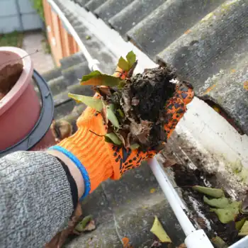 Gutter Cleaning